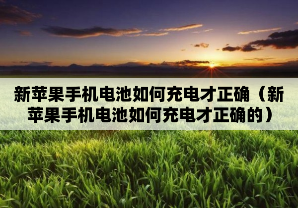 新苹果手机电池如何充电才正确（新苹果手机电池如何充电才正确的）