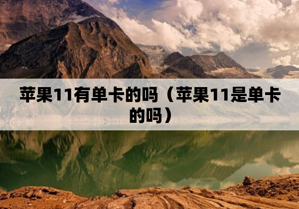 苹果11有单卡的吗（苹果11是单卡的吗）