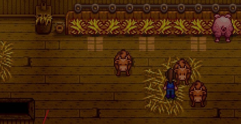 星露谷物语怎么养奶牛 怎么挤奶牛的奶