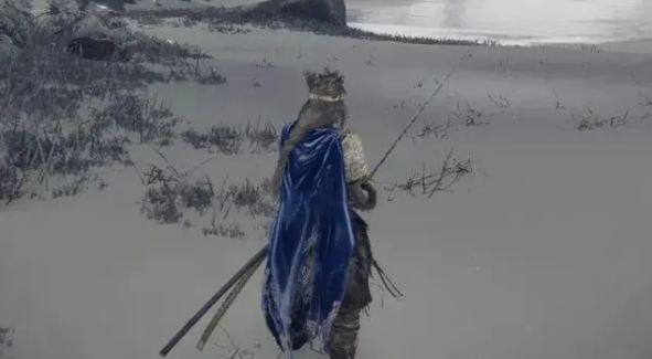 艾尔登法环怎么双持武器 艾尔登法环如何双持武器方法 