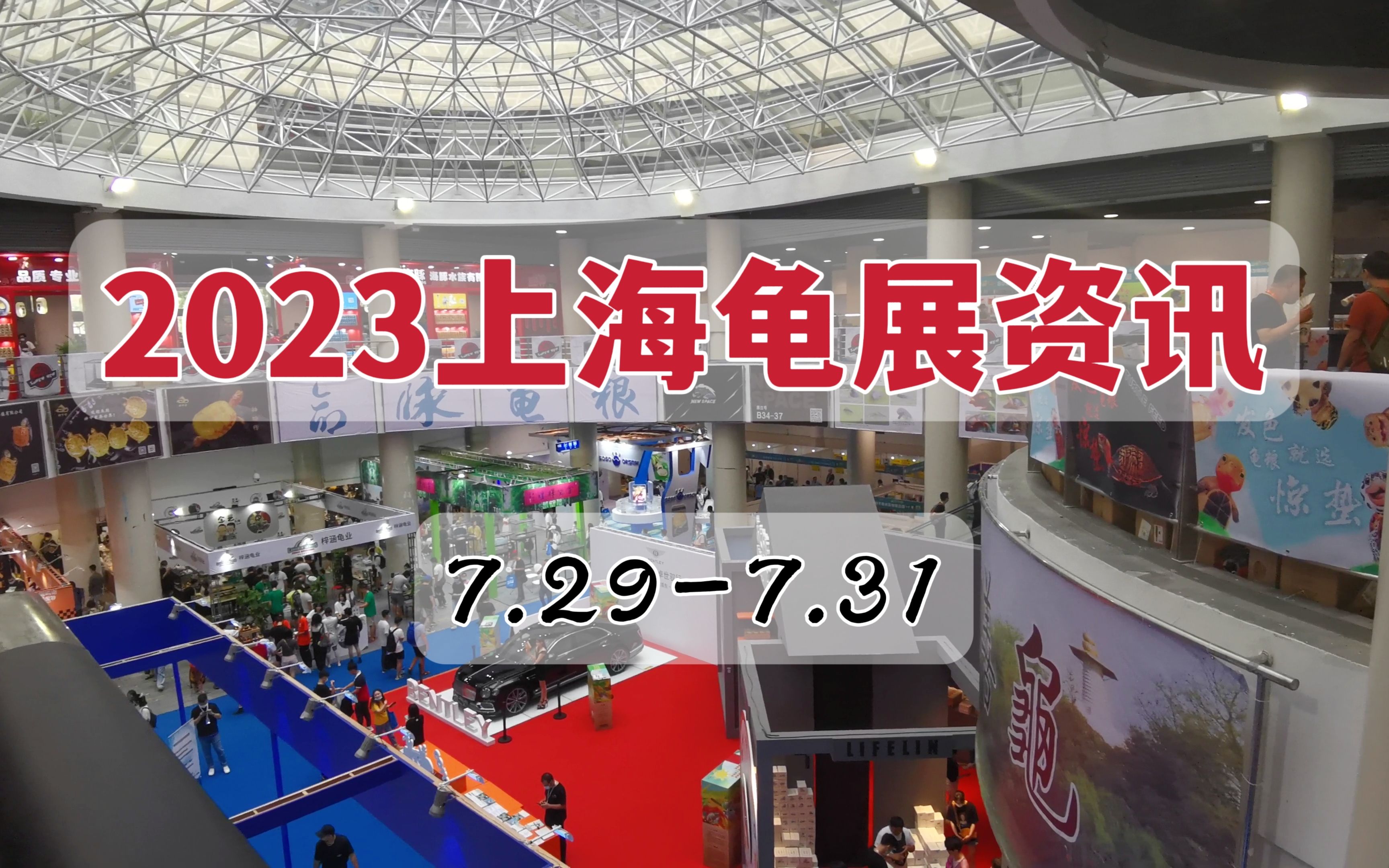 梦幻手游大海龟活动时间2023 家有儿女中刘星家有多富