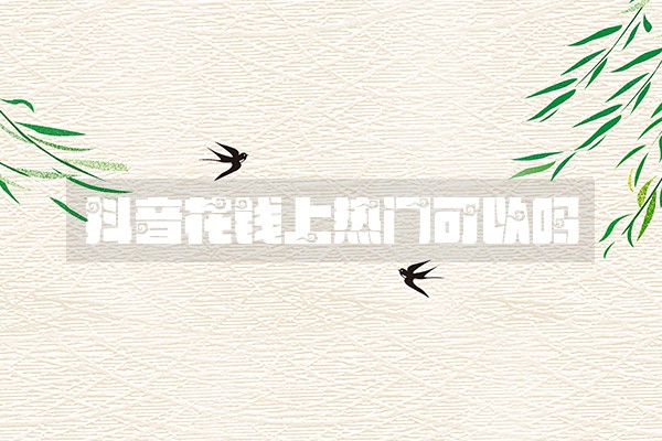 抖音花钱上热门可以吗