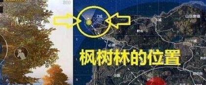 和平精英野餐点还有吗？野餐的地方在哪？野餐点位置分享