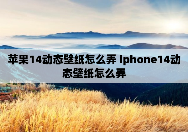 苹果14动态壁纸怎么弄 iphone14动态壁纸怎么弄