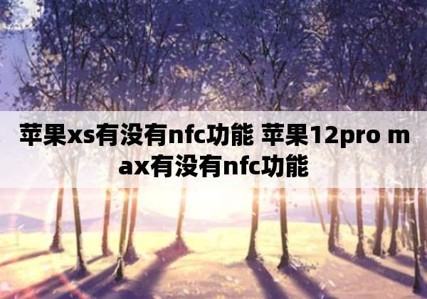 苹果xs有没有nfc功能 苹果12pro max有没有nfc功能
