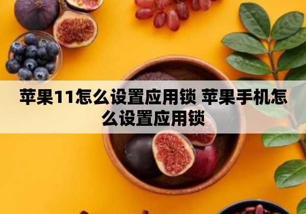 苹果11怎么设置应用锁 苹果手机怎么设置应用锁
