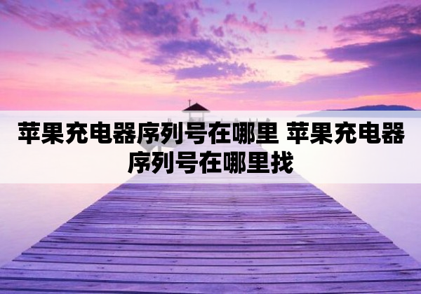 苹果充电器序列号在哪里 苹果充电器序列号在哪里找