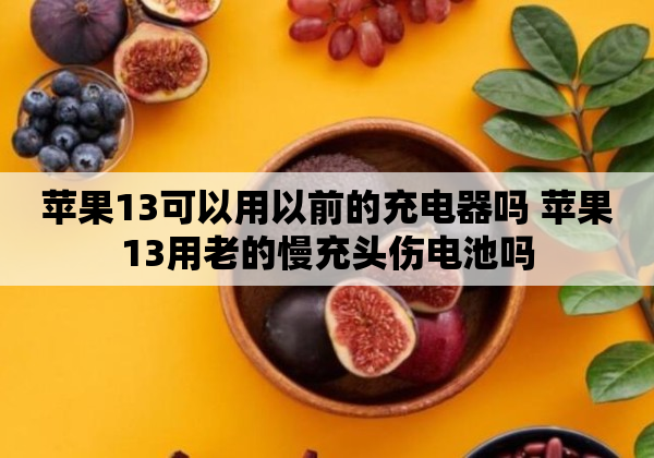 苹果13可以用以前的充电器吗 苹果13用老的慢充头伤电池吗