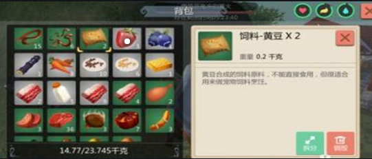 创造与魔法黄豆在哪些地方分布 食物材料作用解答