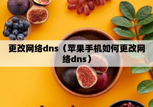 更改网络dns（苹果手机如何更改网络dns）