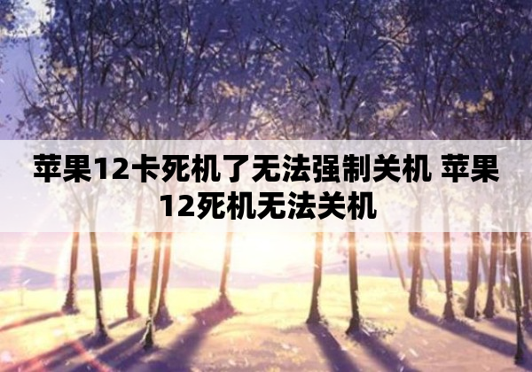 苹果12卡死机了无法强制关机 苹果12死机无法关机