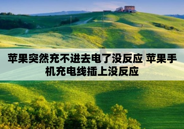 苹果突然充不进去电了没反应 苹果手机充电线插上没反应