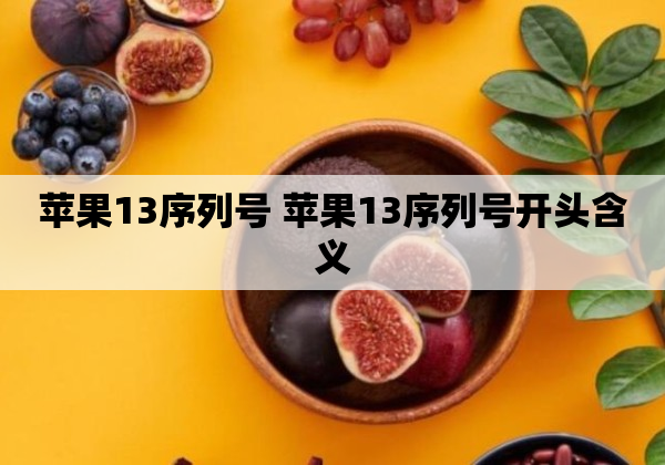 苹果13序列号 苹果13序列号开头含义