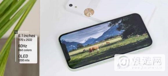 小米12x和iPhone12有什么区别-哪个性价比更高-参数对比