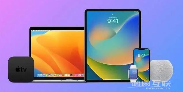 苹果家族哪款产品最受欢迎？谁是无冕之王？