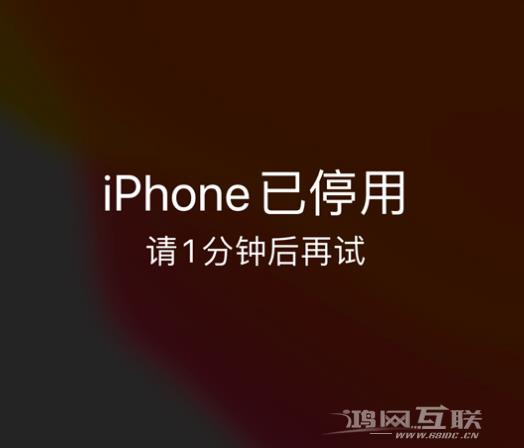 iPhone 显示“不可用”或“已停用”怎么办？还能保留数据吗？