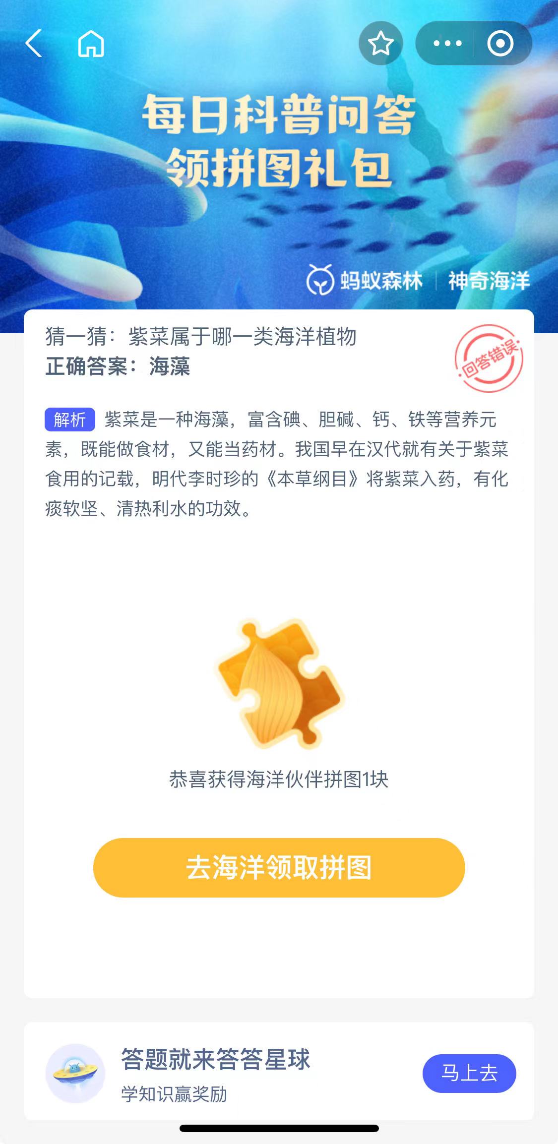 紫菜属于哪一类海洋植物