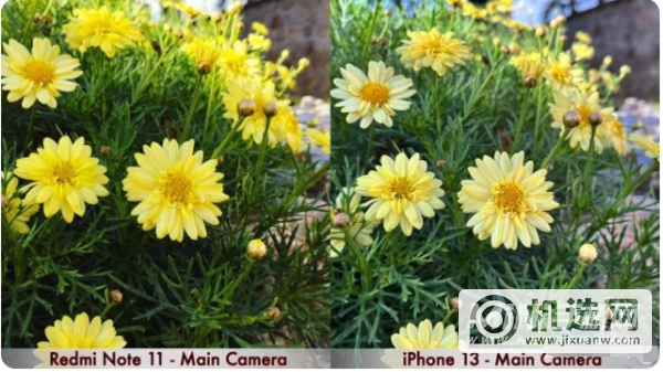 iPhone 13和红米 Note 11手机拍照方面哪款更好？-手机拍照性能分析