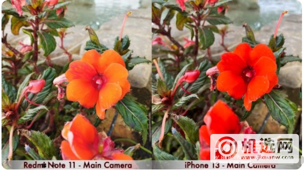 iPhone13和红米Note11手机拍照方面哪款更好-手机拍照性能分析