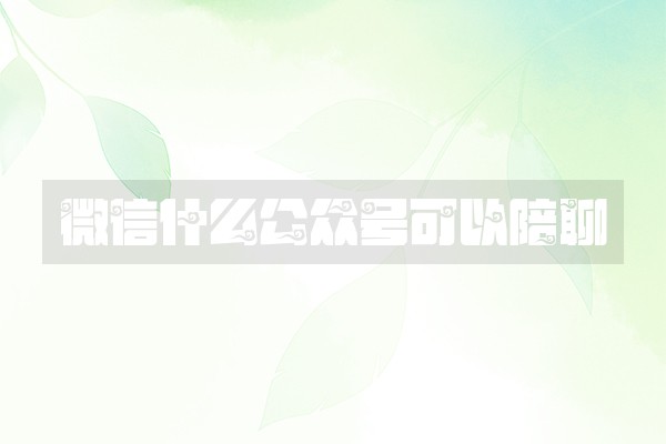 微信什么公众号可以陪聊