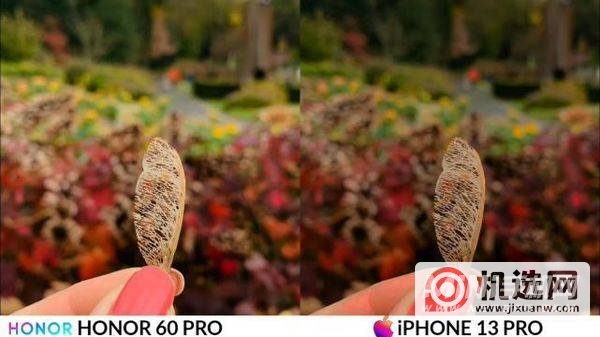 荣耀60 Pro和iPhone 13 Pro拍照对比-差距大吗？-哪款手机拍照性能更好？