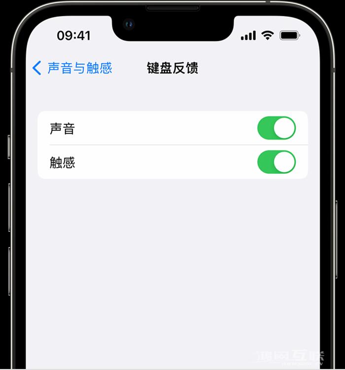如何在 iPhone 14 机型中使用触感键盘？
