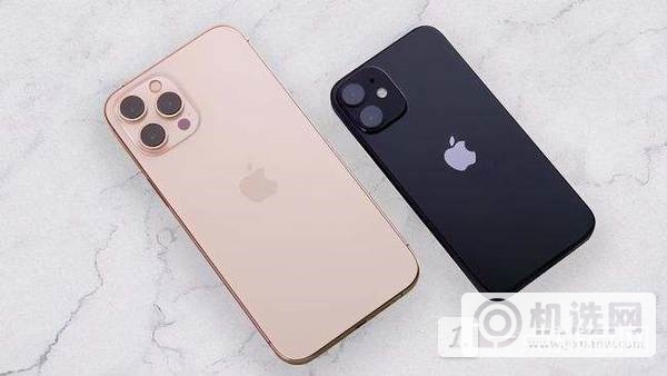 苹果13和小米12哪个好-苹果13和小米12哪个更值得入