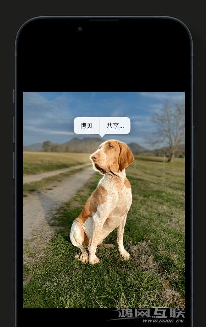 苹果官方推荐体验这些 iOS  16 新功能：精彩锁屏、一键抠图、实况文本等