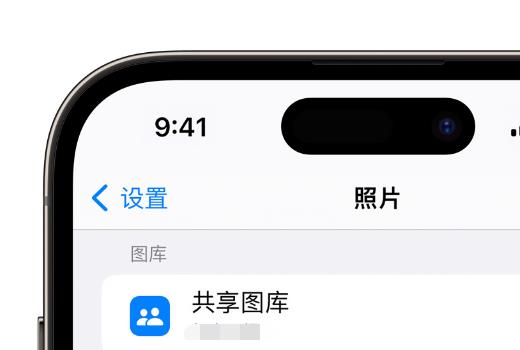 如何在 iPhone  上通过共享图库分享照片？