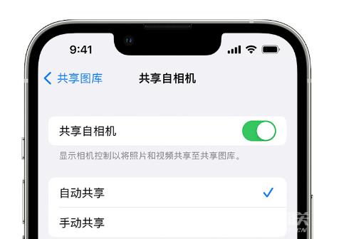 如何在 iPhone  上通过共享图库分享照片？