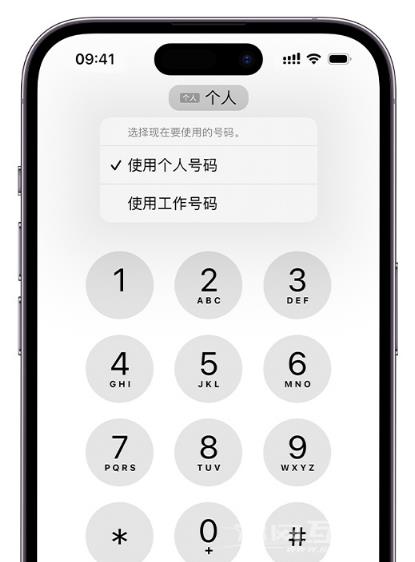 如何在 iPhone  上使用双卡？iPhone  双卡功能常见问题解答