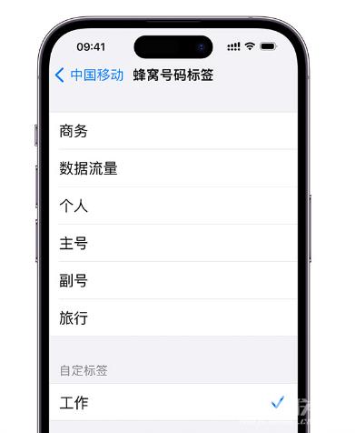 如何在 iPhone  上使用双卡？iPhone  双卡功能常见问题解答