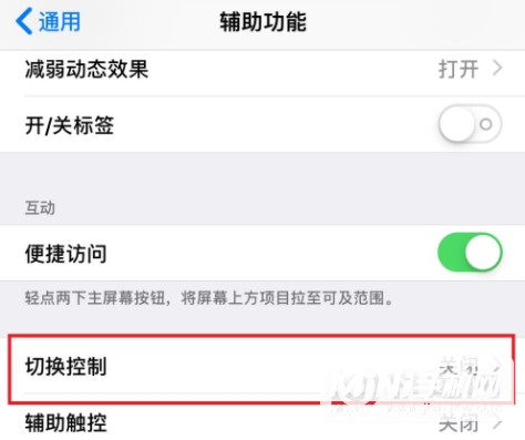 iPhone 13切换控制怎么用？-怎么开启切换控制？