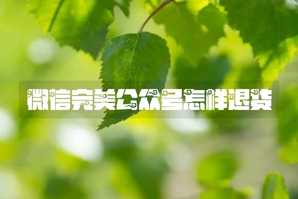 微信完美公众号怎样退货
