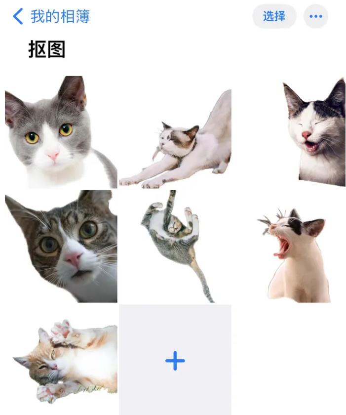 iPhone  14可以批量抠图吗？iOS16批量抠图方法