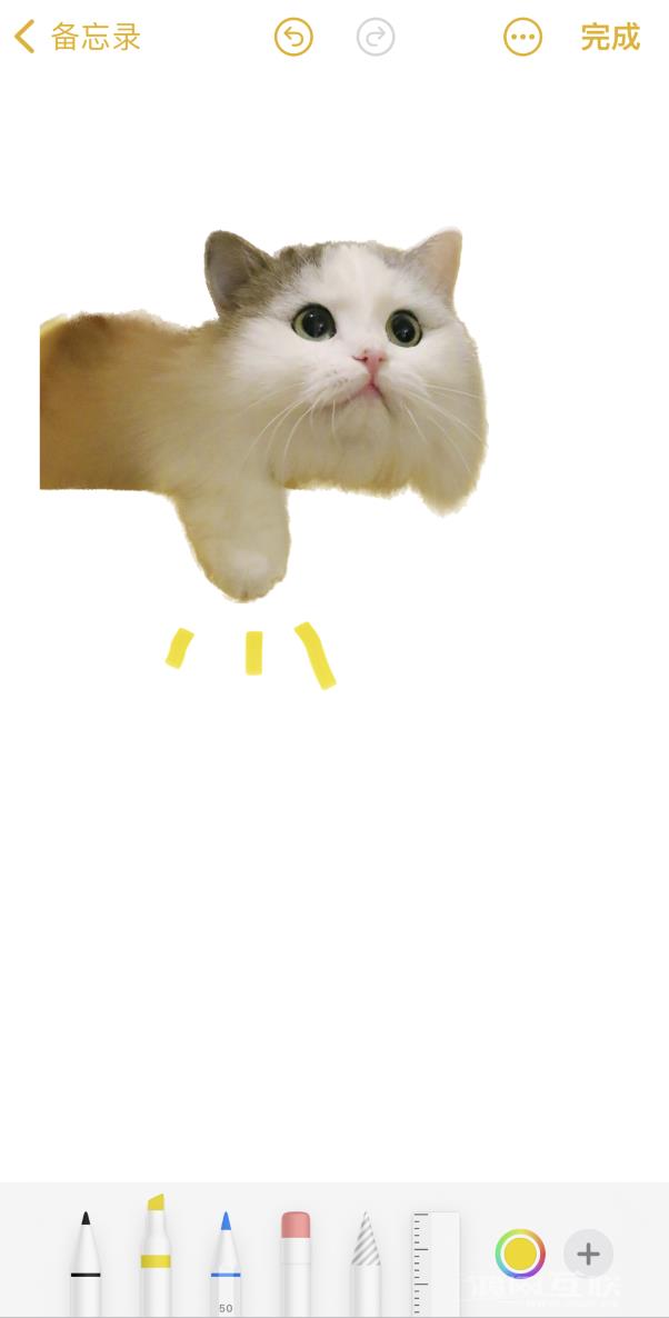 iPhone  小技巧：将 iOS  16 抠图功能与备忘录搭配使用