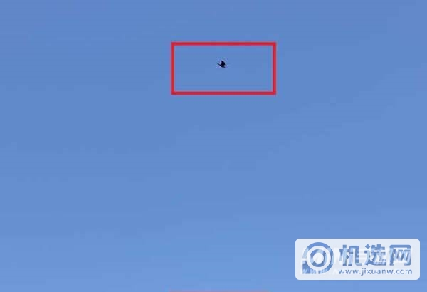 iphone13pro和华为mate40pro拍照对比-哪个拍照更加好