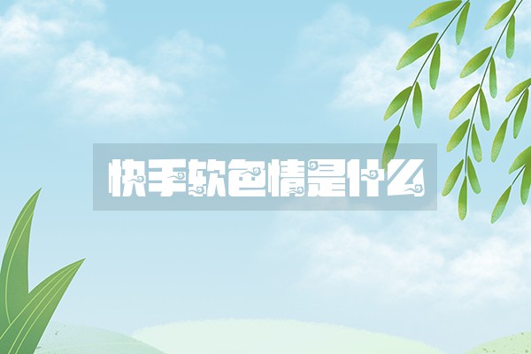 快手软色情是什么