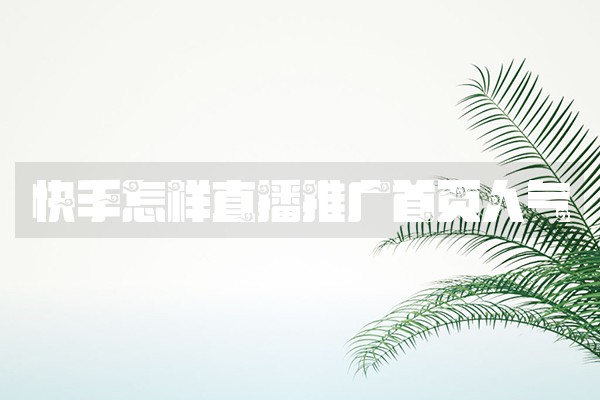 快手怎样直播推广首页人气