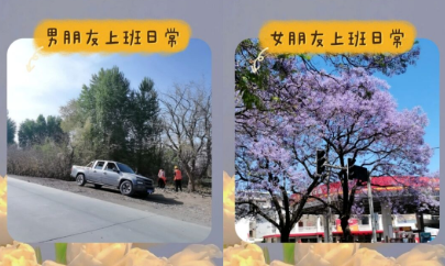 贴贴怎么发布表情包