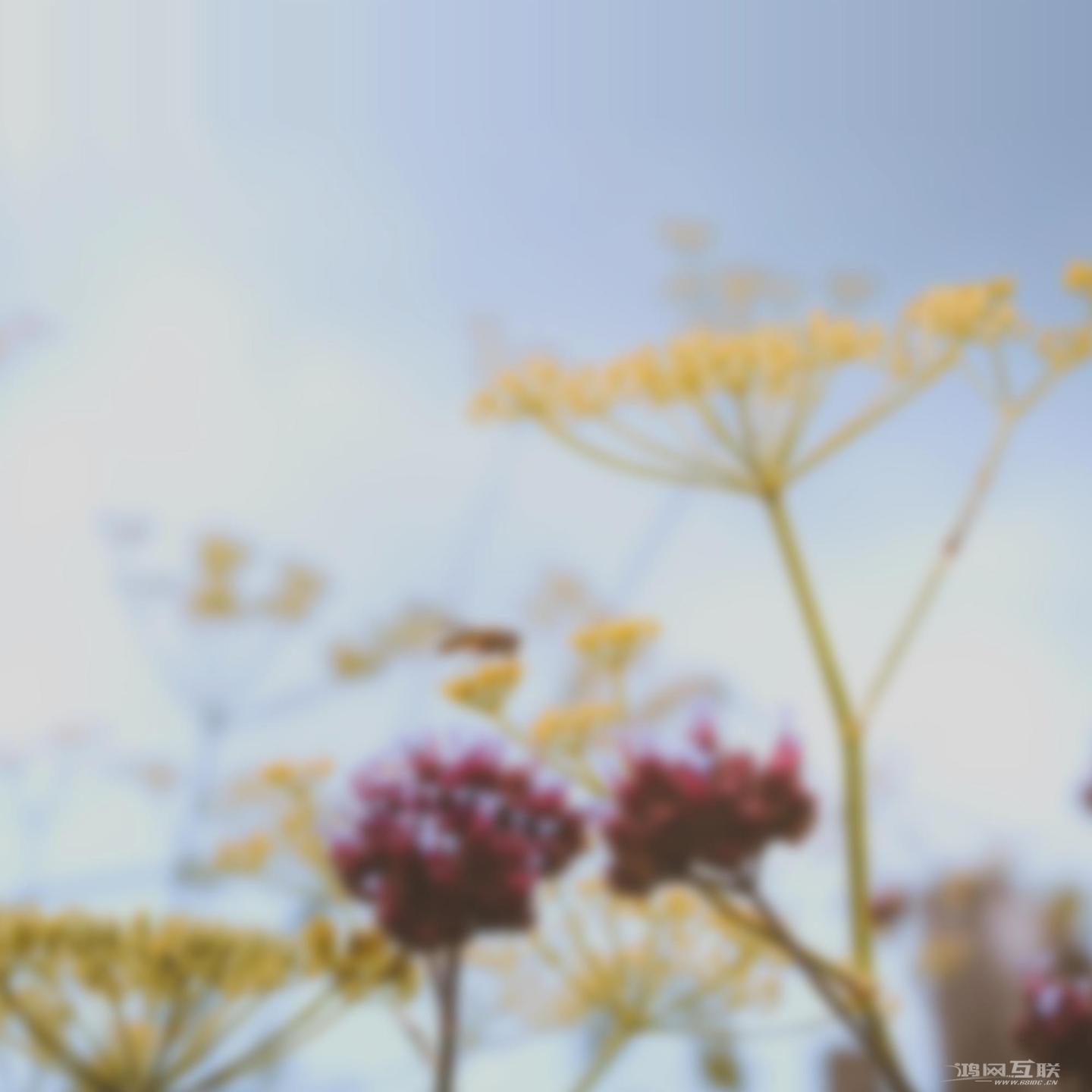 苹果 iOS  16 更新带来全新壁纸插图45