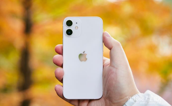 iPhone 13/12（mini）在印度销量大幅增长