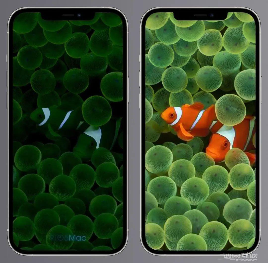 iPhone14 Pro息屏显示细节曝光插图5
