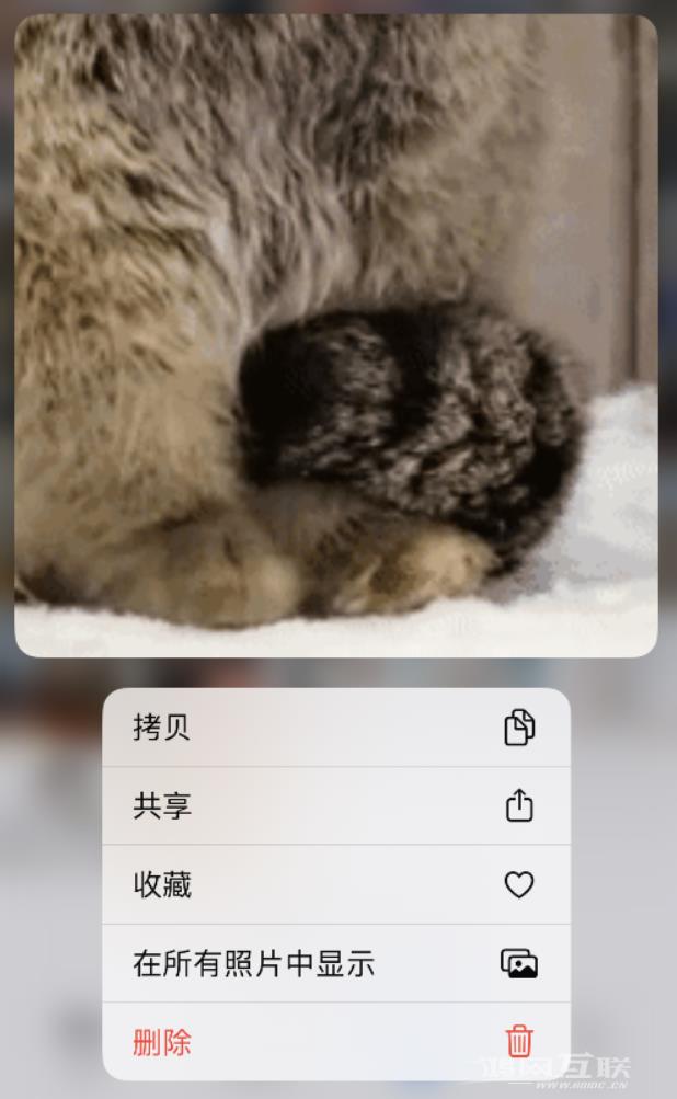 小技巧：在 iPhone  14 执行这些操作，可快速打开常用功能