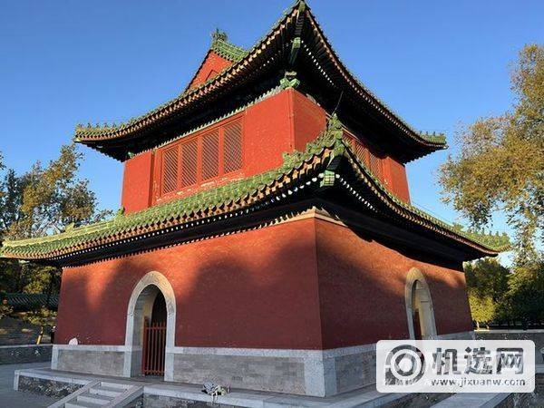 实测：一加 9RT与iPhone  13拍照对比