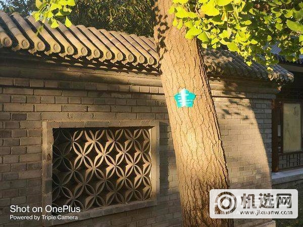 实测：一加 9RT与iPhone  13拍照对比