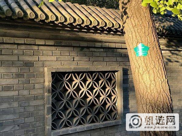 实测：一加 9RT与iPhone  13拍照对比