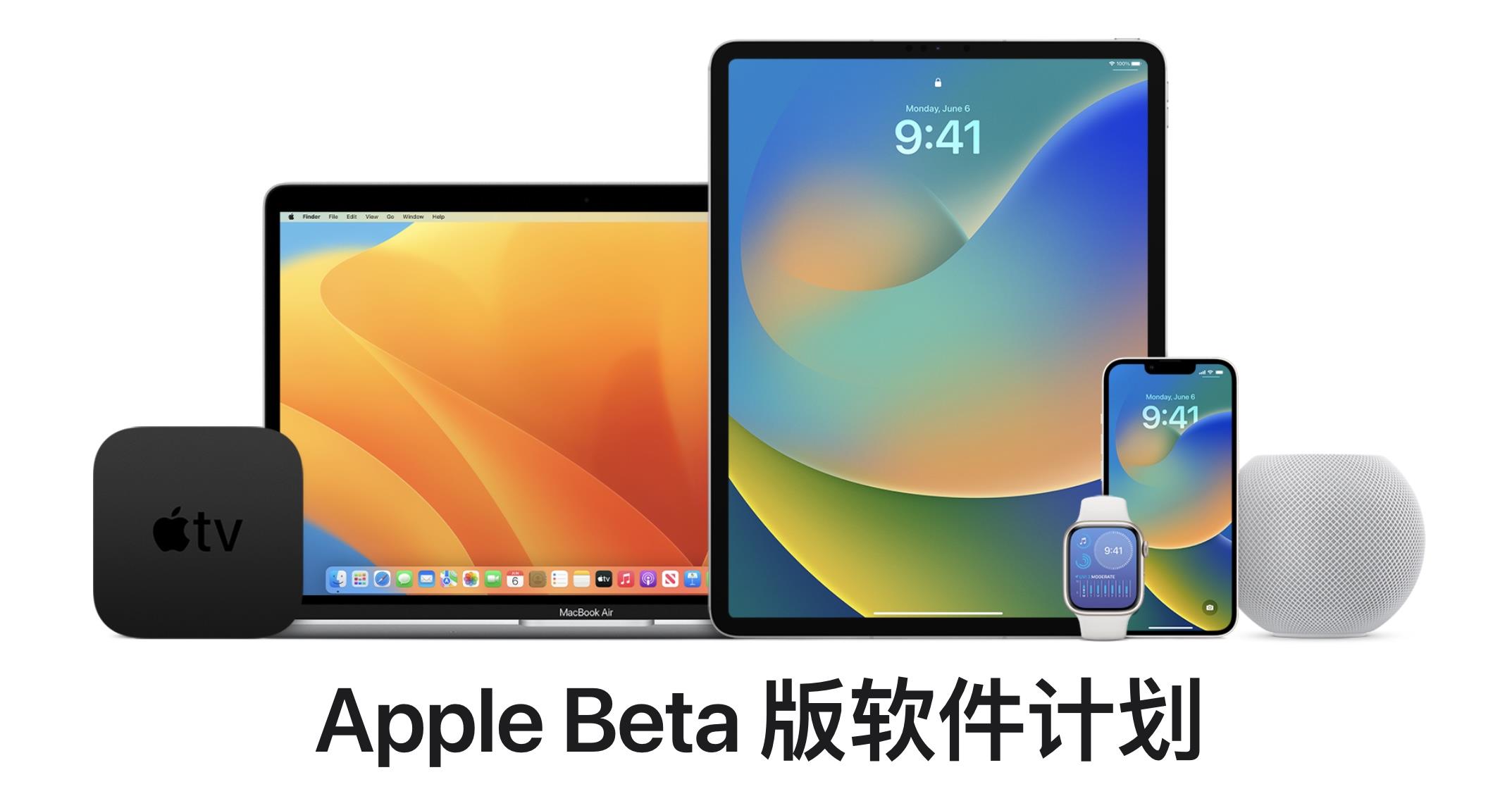提供 iOS  16 测试版固件下载的网站已关闭插图3