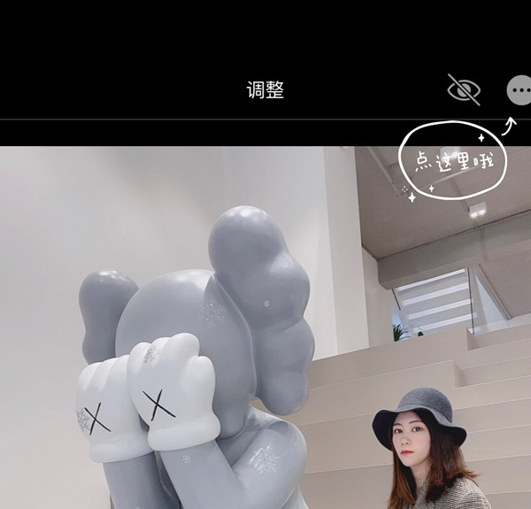 苹果手机怎么放大局部图片