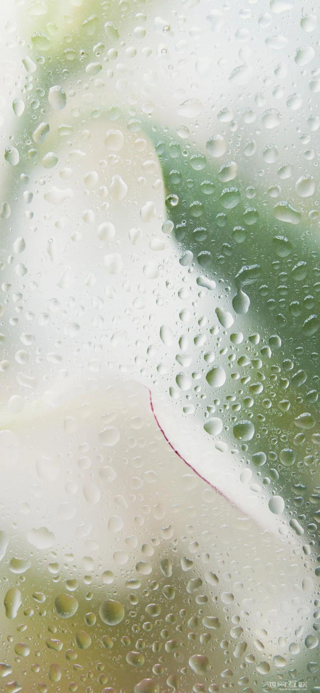 iPhone高清壁纸，苹果壁纸2022最新壁纸必换的壁纸！插图33